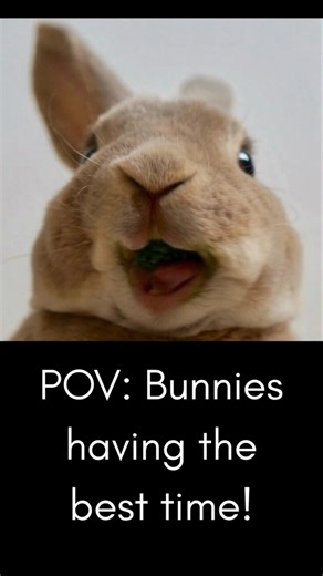 Bunny Backflips!