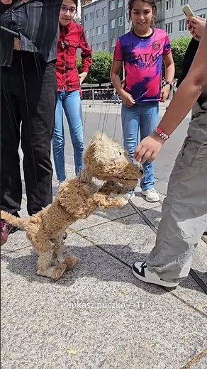 This Dog is Not Real😍