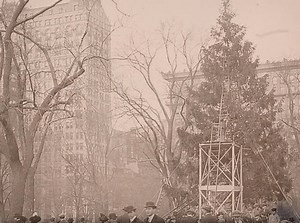 48K views · 909 reactions | Fun Fact: The first tree to go up in Madison Square in New York City was from the Adirondacks and given by the Adirondack League Club! | Adirondack Experience, The Museum on Blue Mountain Lake | Facebook