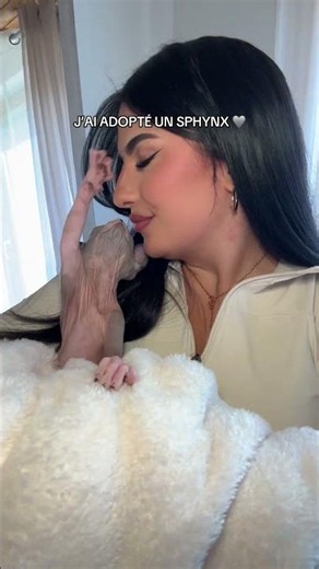 Je vous présente Aully 🩶 Chatterie du soleil rouge Inspiration : Fidji Ruiz . . . . #sphynx #chaton