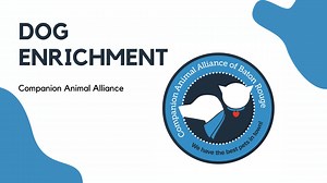 Enrichment orientation (2)