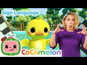 Balloon Boat Race | CoComelon with ASL | 🖐️ Sign Language for Babies 🖐️ - Videos For Kids