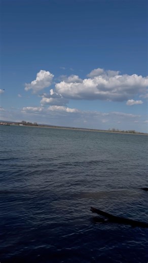 Rate this from 1 to 10 ! #view #shorts