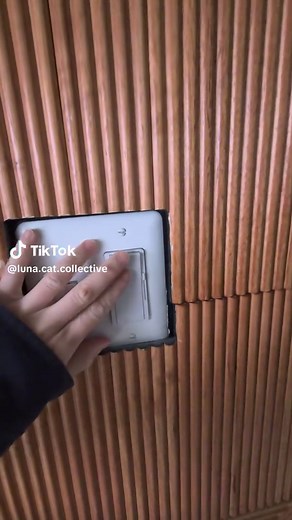 Opening Up My Cat Cafe: Morning Greetings and Cuddles