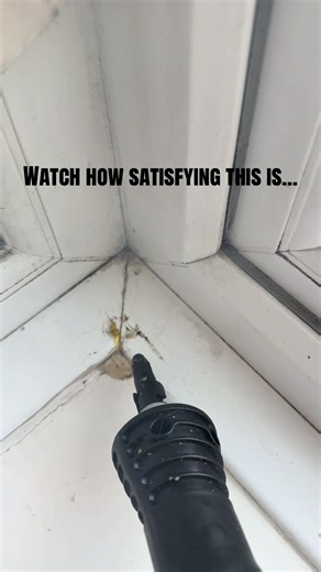 Effortless Spring Cleaning with My Trusty Steamer