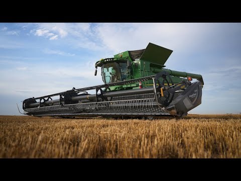 Western Kansas Wheat Harvest Begins
