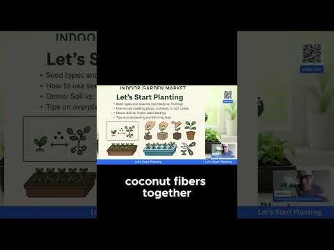 Hydroponics vs Soil | Seed Starting Showdown!