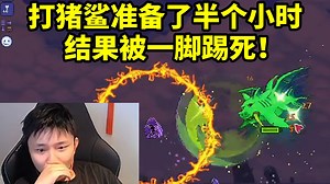 蛋总玩泰拉瑞亚打猪鲨准备了半个小时 结果被一脚踢死犹如路边一条！