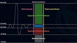 3.9K views · 47 reactions | Normal Lung Volumes | FOAMfrat | Facebook