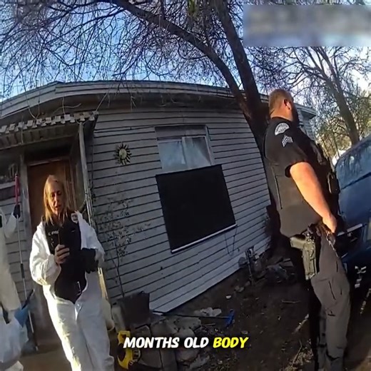 175 Dogs Found Inside One Home — What Police Discovered Was Shocking | Real Life Church