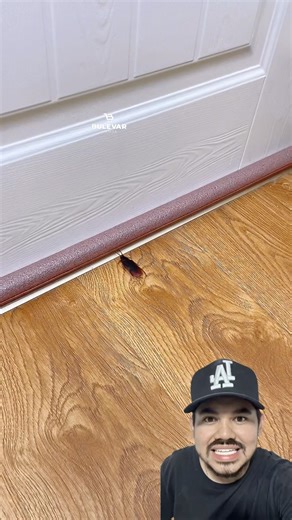 🔇 ¿Cansado del ruido, polvo o insectos entrando por debajo de tu puerta? Este protector flexible es la solución perfecta para aislar tu hogar, bloquear ruidos molestos y mantener tu espacio limpio y confortable. 🚪✨ ✅ Fácil instalación sin herramientas ✅ Ajustable al tamaño exacto de tu puerta ✅ Evita polvo, insectos y corrientes de aire ✅ Material suave, resistente y duradero ¡Transforma tu hogar en un lugar más tranquilo y cómodo al instante! 🏡 #protectorpuertas #puertas #homedecor #hogar | 