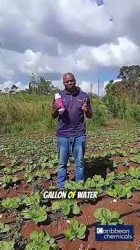 Smart Tip Tuesdays - Agasi