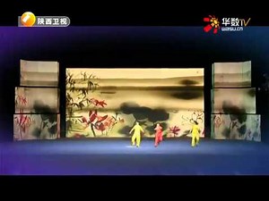 中国真功夫 2014全国武术对练大奖赛