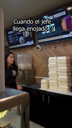 Jajajajaa como pasan las cosas 🐨 | Koala Express