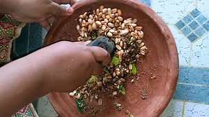 How to Grind Spices with a Traditional Stone Grinder