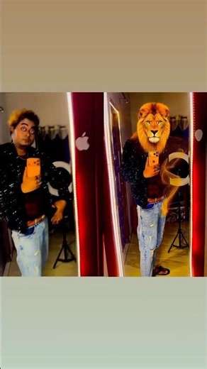Super viral Gata Only #viral #youtubeshorts