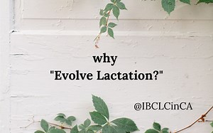 Why "Evolve Lactation"?