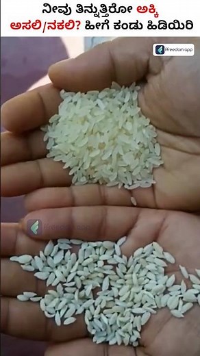 Simple Tips to Identify Real Rice from Fake Rice #shorts #plasticrice #realrice #fakerice #realrice