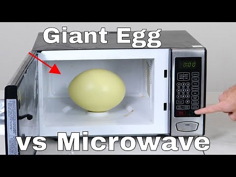 Putting a Giant Rhea Egg in a Microwave (Bad Idea)