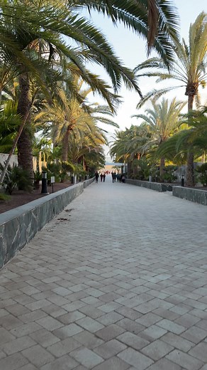 Exploring the Dunas of Maspalomas in Gran Canaria