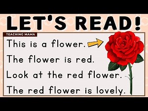 LET'S READ! | PRACTICE READING SIMPLE PARAGRAPHS | SIMPLE AND EASY READING LESSON | TEACHING MAMA