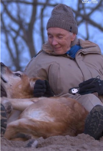 Memorial Service for Jane Goodall at Washington Cathedral