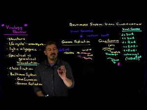 Viral Classification Overview