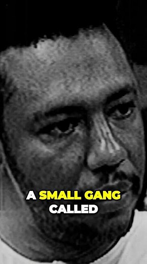 The Rise of Gang Unity The Powerful Origin of the Gangster Disciples
