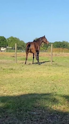 282K views · 2.2K reactions |  | Smile Natural | Facebook