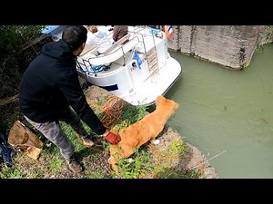 Crazy magnet fishing: it doesn't stop!