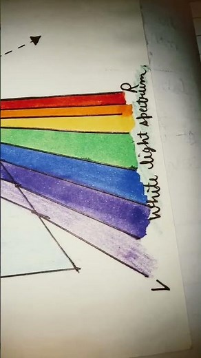 Spectrum of white light through prism 🤩😍🌈 #diagram #prism #physics #spectrum