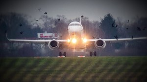Bird strike causes engine fire and return to airport for American flight