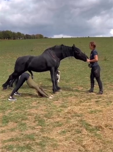 🐎 #foryoupage #fypシ #horses #horse #girl