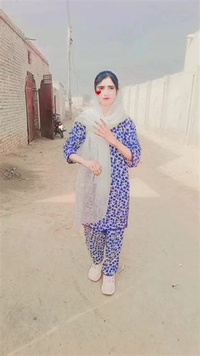 Mehwish Hayat's Husband: A Peek Into Their Life