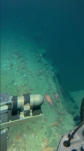 Deep ocean technology offers never before seen images of lost WWI submarine