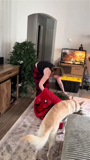 Effective Christmas Clean Up Tips for a Tidy Home