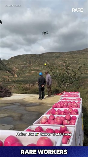 Ever Seen Apples Fly LIKE THIS?!🤔 Watch This DRONE Delivery! So Fast! #tech