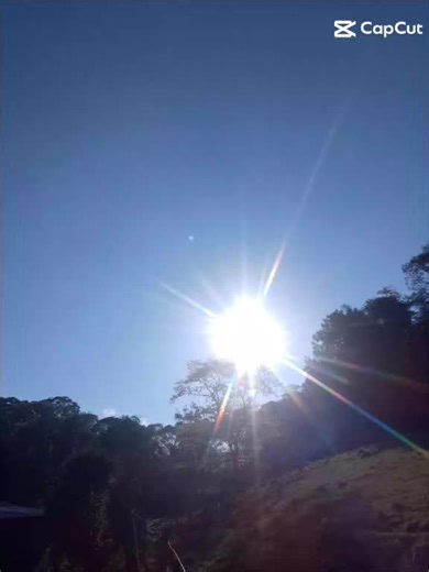 natureza é todo 🇧🇷💚🌿