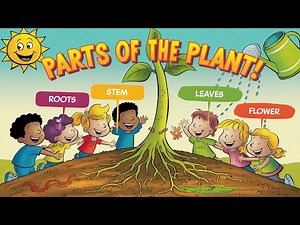 Let's Explore Parts of the Plant - What Makes Them Grow? | Fun & Educational Science for Kids