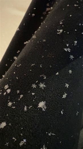 Exploring Winter Wonders in Anchorage, Alaska