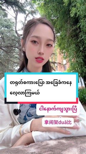 Learn Basic Chinese with Engaging Lessons