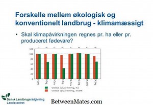 Forskelle mellem Atlas og Axis Vertebrae Forskel mellem - Andre 2026