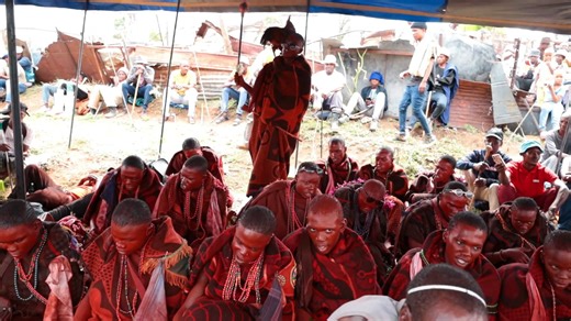 #ThabaChicha Lengae: Ho bina poho Makoloane a Ntate Tankiso Basuwe: Skamotho, Tshokolo le Kutlwano Location: Qhobosheane, Sterkspruit - Eastern Cape 🇿🇦 Palo ya bana: 17 Letsatsi: 30 December 2024 | Makoloane a Sterkspruit - Videos