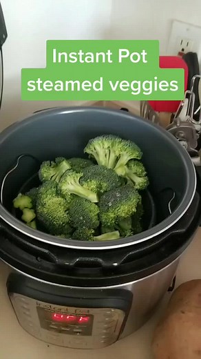 Steamed Vegetables Ideas with Instant Pot 10-in-1 | SkittsMcgee