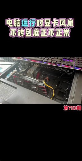 电脑正常运行时显卡风扇不转到底正常不正常 #显卡风扇不转 #电脑正常运行中显卡风扇不转 #原创视频 #优质创作者伙伴计划 #真实生活分享计划