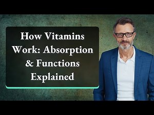 How Vitamins Work: Absorption & Functions Explained