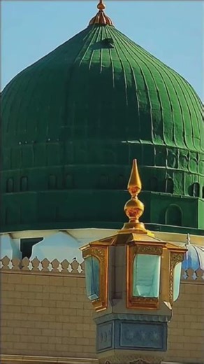 New Heart Touching Nath ❤️| Shareef feel it | #allahuakbar #allah #love #trustonallah #fyp