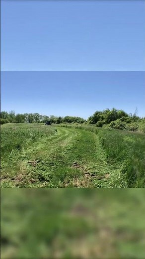 Lawn Mowing Journey: Transforming Overgrown Grass Areas Beautifully.