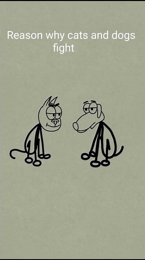 Why cats and dogs fight 😁😁