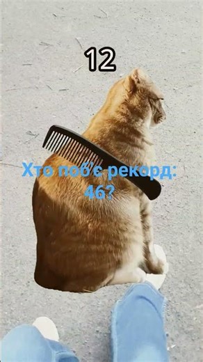 хах невезе) #активвернись #крінж #софіямарінет #roblox #diy